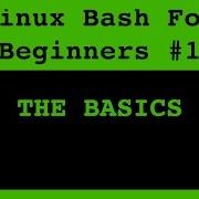 Linux Bash Shell For Beginners Tutorial 1 The Basics Of Bash