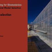 Subset Selection