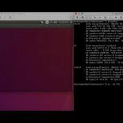 Client Server Connection Telnet NC