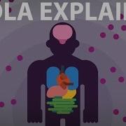 The Ebola Virus Explained How Your Body Fights For Survival