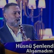 Hüsnü Şenlendirici ALIŞAMADIM
