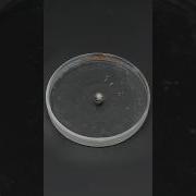 Sodium And Potassium Vs Liquid Nitrogen