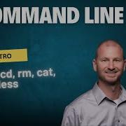 Mastering Basic Terminal Commands Ls Pwd Cd And More