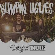 Bumpin Uglies Full Set Live Acoustic Sugarshack Sessions
