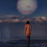 Dana Winner Moonlight Shadow