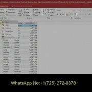 SC AC19 2A Access Module 2 SAM Project Tutorial 2021 Access Module 2 SAm Project A