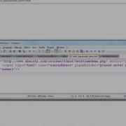 The HTML 5 Placeholder Attribute