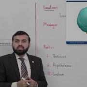 Class 10 Biology Chapter 12 Lecture 3 CNS Brain Part 1 Allied Schools