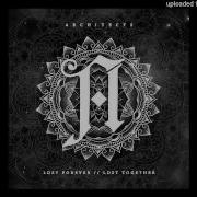 Architects Naysayer