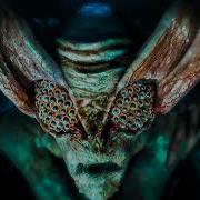 Вий Phonk Rock Folk Metal