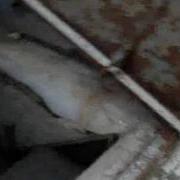 System Test 24