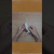 Awesome Origami Grasshopper Minecraft Shorts Grasshoppers