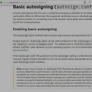 2 5 Environment Setup Puppet Agent Auto Signing Requests