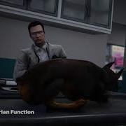 CDev Pet Script FiveM Cats Dogs Update