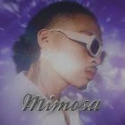 RINI Mimosa Visualizer