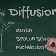 Diffusion Und Osmose