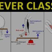 Lever Systems In The Human Body