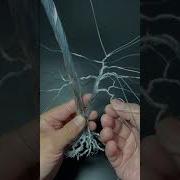 How To Make A Creative Ideas With Copper Wire DIY Wire Tree Mini Bonsai Wire Tree 2
