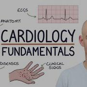 Learn Cardiology In One Video Fundamentals