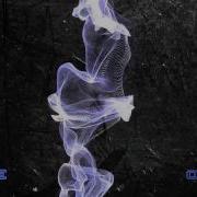 Particular Audio React Sididi
