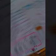 POV The Bad Behavior Reflection Papers
