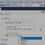 Visual Basic Input And Output