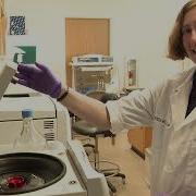 EDNA Lab Overview
