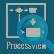 Bluespring ProcessView Process Improvement Software