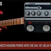 BOSS DM 101Delay Machine