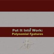 Polynomial Features Put It Into Work