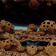 Like In A Dream 3D Fractal Trip