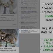 World Turtle Day 2016 Case Study Final