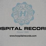 New Zealand Shapeshifter Sleepless B Complex Remix