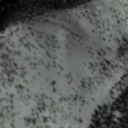 Terrain Flyover Animation