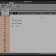 Configuring Form Control Option Buttons In Excel