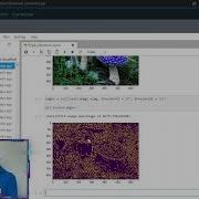 Python Edge Detection OpenCV VDB Computational Biology