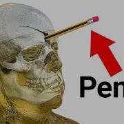 I Learned The World S Deadliest Skills