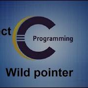 Wild Pointer In C Wild Pointer In C Programming Language Tutorials Project 27