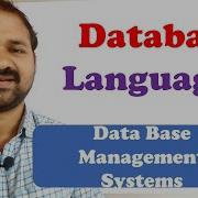 Database Languages In DBMS DBMS Languages Data Base Management Systems