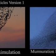 Flock Simulation Particles V1
