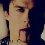 THE VAMPIRE DIARIES TVD ANIMALS