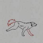 Wolf Running Sequence 1 2