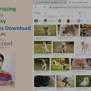 Web Scraping With Proxy Google Images Download In Bulk Using Python