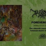 WORM Foreverglade Full Album 20 Buck Spin