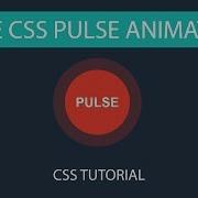Pulse Animation Effect CSS3 Pure Css Tutorials