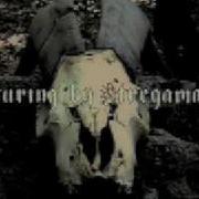 Trailer Video Maleventum