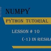 1 In Reshape Lesson 10 Numpy Python Tutorial Full Course In Urdu Hindi