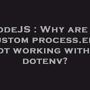 NodeJS Why Are My Custom Process Env Not Working Within Dotenv