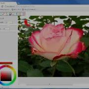 Image Editing Demo Using WebGL