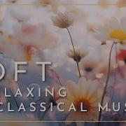 Soft Classical Music For Relaxation